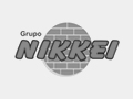 Grupo Nikkei